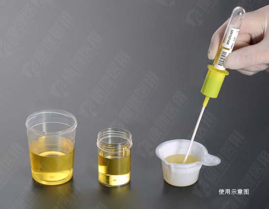 樣品杯